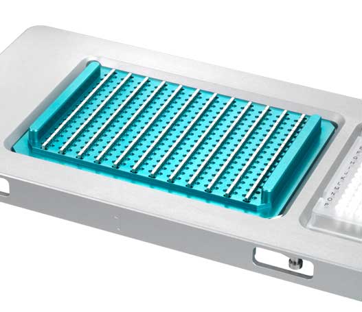 mosquito HV genomics | SPT Labtech